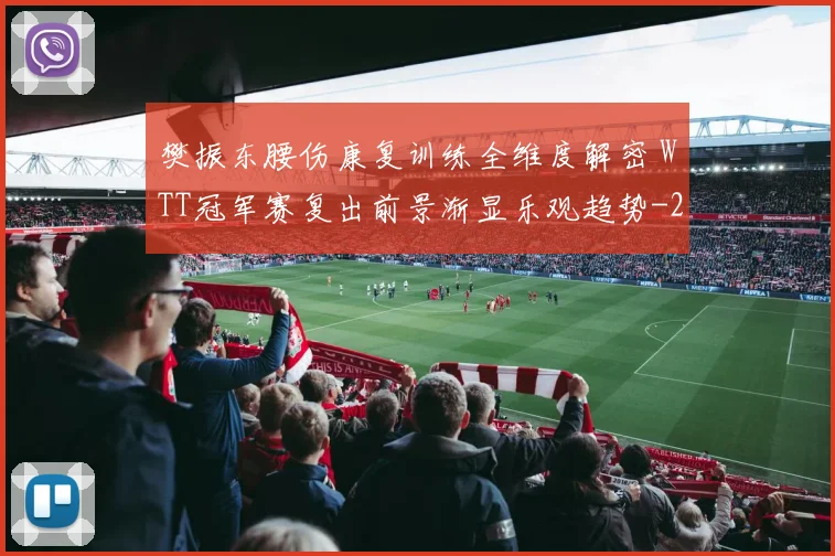 樊振东腰伤康复训练全维度解密 WTT冠军赛复出前景渐显乐观趋势