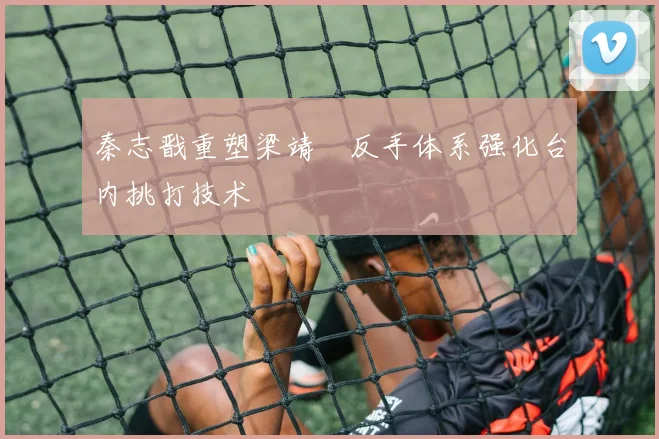 秦志戬重塑梁靖崑反手体系强化台内挑打技术