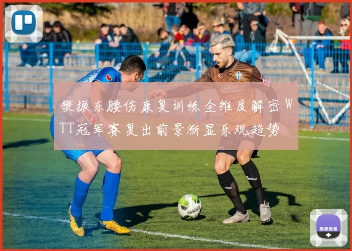 樊振东腰伤康复训练全维度解密 WTT冠军赛复出前景渐显乐观趋势