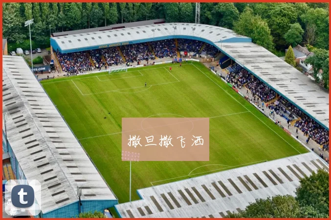 樊振东膝伤康复新进展引发关注 2026亚运单打资格之争悬念持续升级
